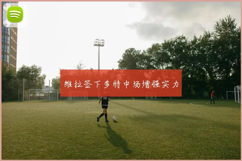 维拉签下多特中场增强实力 - MK体育下载